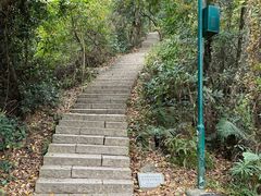 -梧桐山风景名胜区