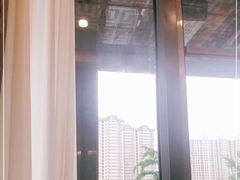 -食神鱼头佛跳墙(百子湾旗舰店)