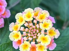 -桤木河湿地公园