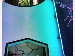 -朵拉提