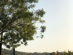-河北省园博园