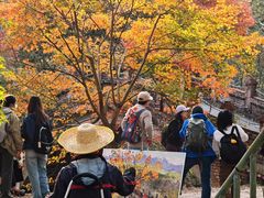 -田野绿世界