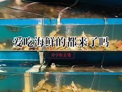 -仙螺岛海鲜自助餐厅(总店)
