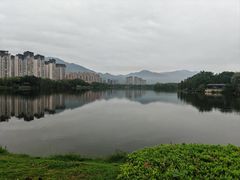 -飞来湖湿地公园