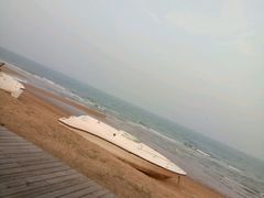 -日照世帆赛基地