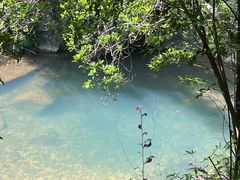 -广州白江湖森林公园