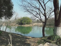 -西溪国家湿地公园