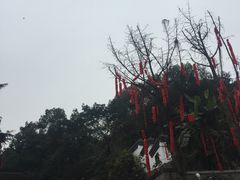 -忠山公园