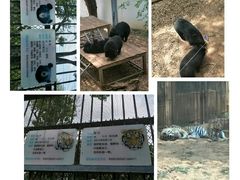 -昆明动物园