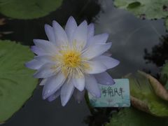 -钱王祠