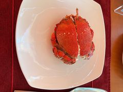 -视界美食自助餐厅·石家庄希尔顿酒店