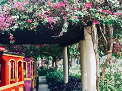 -三亚亚龙湾天域度假酒店