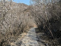 -香山公园