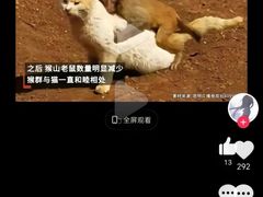 -昆明动物园