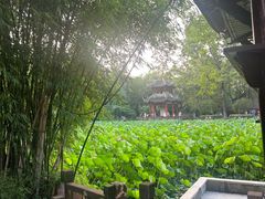 -房湖公园