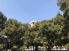 -上海交通大学医学院附属瑞金医院(总院)
