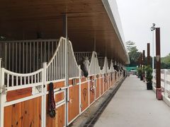 -名驭国际马术学院
