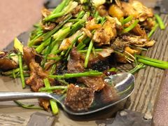 -浩运·海鲜青岛菜·海胆水饺(石老人店)