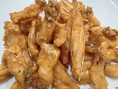 -港升鱼师傅·中山脆肉鲩