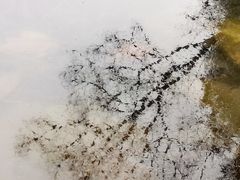 -仙海旅游度假区