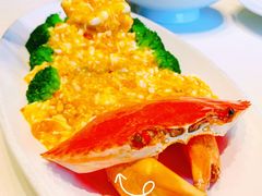 -蝶园·装修中(BFC外滩金融中心店)