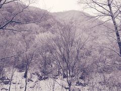 -终南山国家森林公园