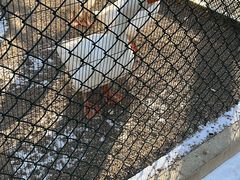 -青岛鑫江温德姆酒店