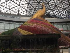 -花之城