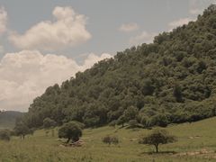 -关山草原