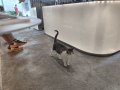 -MQ COFFEE STAND明谦(新洲店)