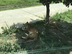 -西安秦岭野生动物园