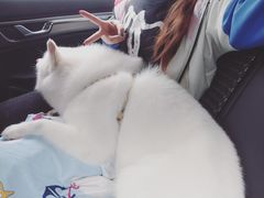 -美联众合24小时·皮肤科·外科·全科诊疗中心(华苑分院)