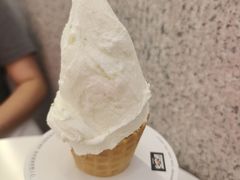 -野人先生现做冰淇淋(北京环宇荟店)