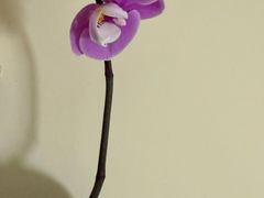 -盒马鲜生(新都心店)