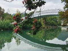 -花溪公园