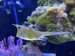 -Zoolung Zoolung动物主题公园(海信广场店)