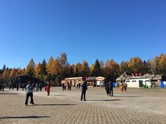 -汤旺河林海奇石景区