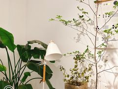 大堂-COTTON CAFE(德信·中外公寓店)