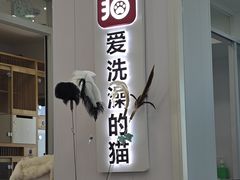 -爱洗澡的猫(望京店)