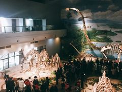 -自贡恐龙博物馆