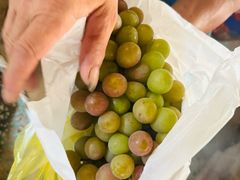 -马陆小张葡萄园农家乐