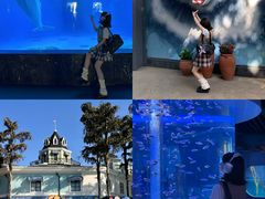 -海合安成都极地海洋公园