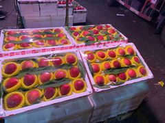 -菜园坝水果市场