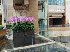 -上海外滩茂悦大酒店