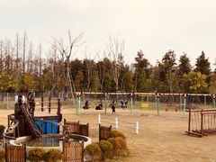 -上海长兴岛郊野公园