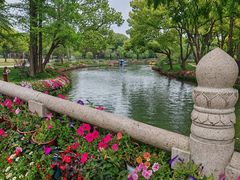 -苏州上方山国家森林公园
