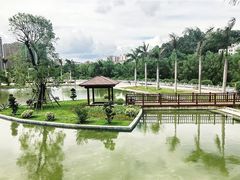 -金鸡岭桥头公园