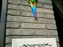 -苹果树下艺术餐厅(通州店)