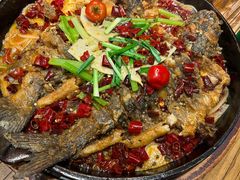 -老板恋上鱼(印象城店)