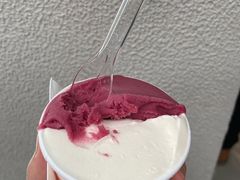 -Dip in Gelato(富民路店)